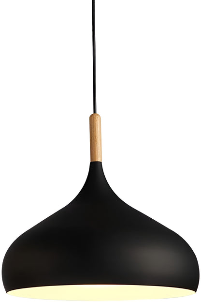 Black pendant light with wooden accent on a white background